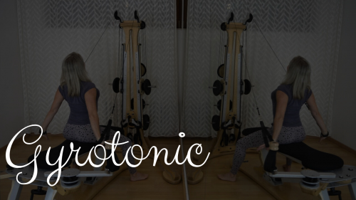 Personaltraining Gyrotonic
